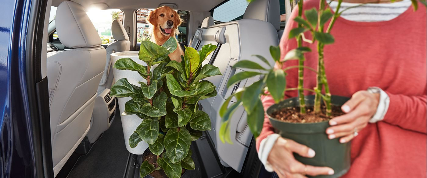 Cabin Space Abounds in the Ridgeline! Cabin Space Abounds in the Ridgeline!