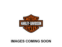 2009 Harley-Davidson Electra Glide