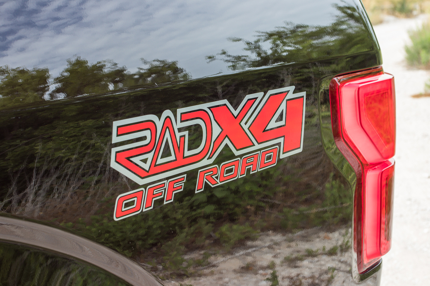 RAD-Rides custom decal on a lifted 2018 ford f150