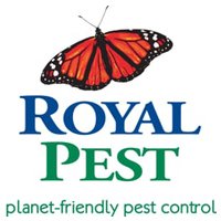 Royal Pest Solutions Royal Pest Solutions