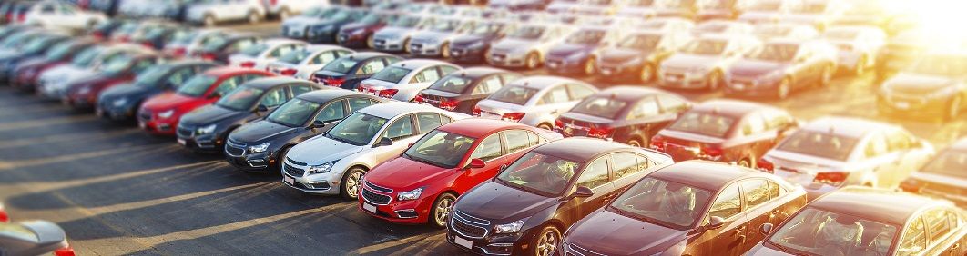 Enjoy Our Huge Inventory!