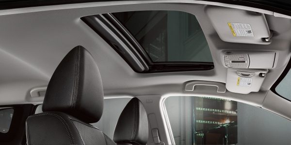 Enjoy Natural Sunlight in the Nissan Rogue Sport Enjoy Natural Sunlight in the Nissan Rogue Sport