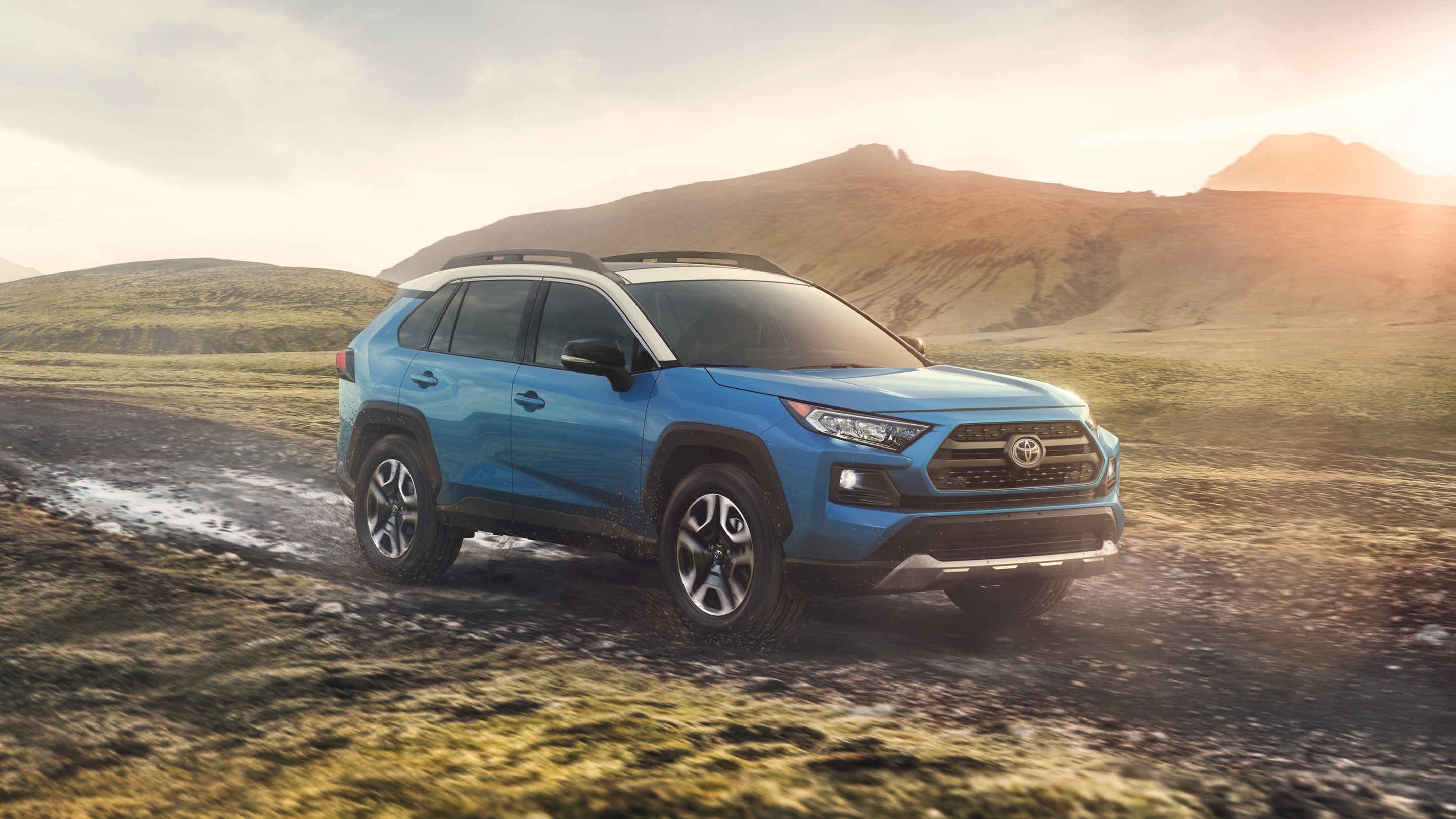 2019 Toyota RAV4 for Sale near Ypsilanti, MI