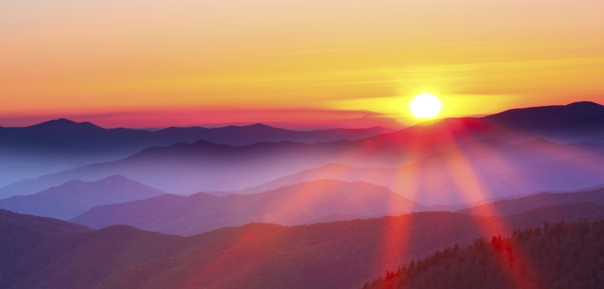 Idaho Buses for Sale