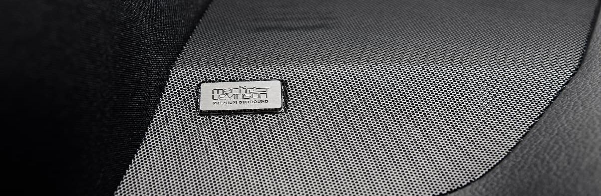Mark Levinson® Audio in the 2020 NX 300