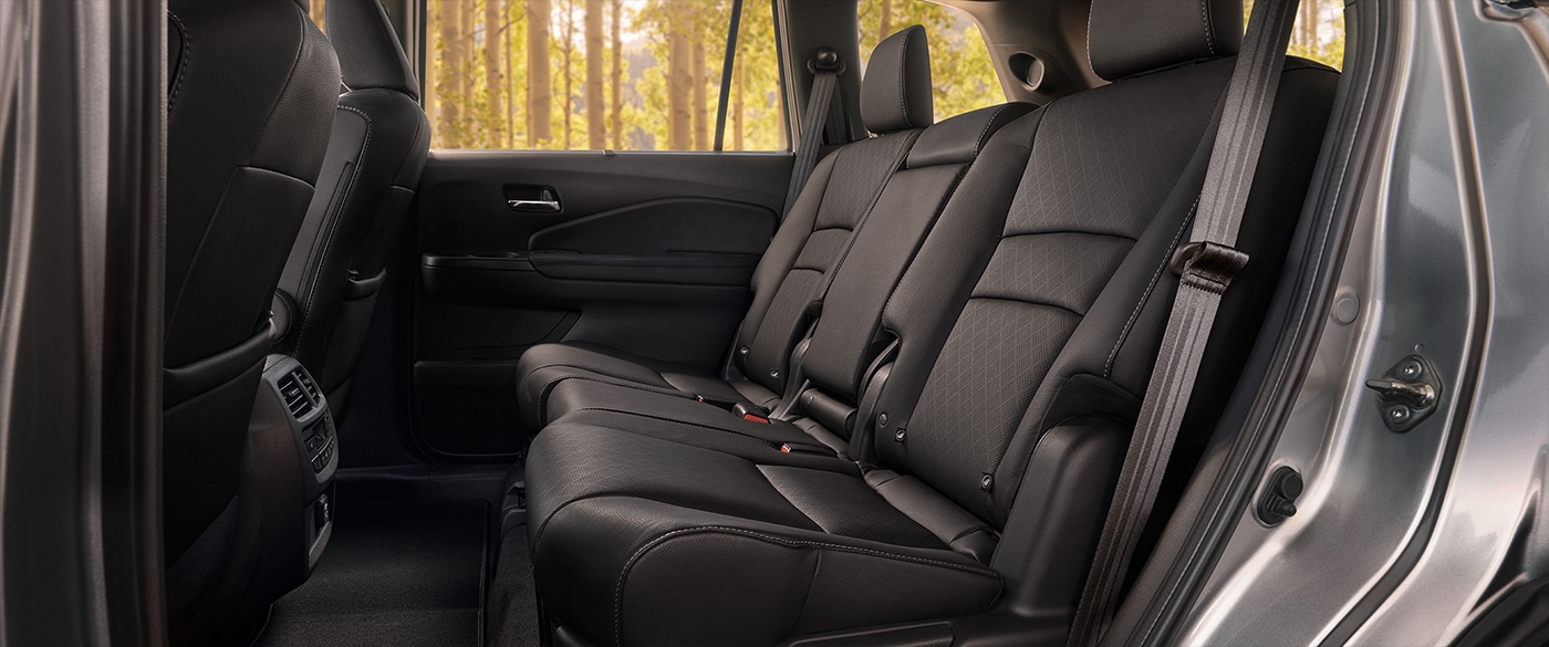 Second Row of the 2019 Passport Second Row of the 2019 Passport