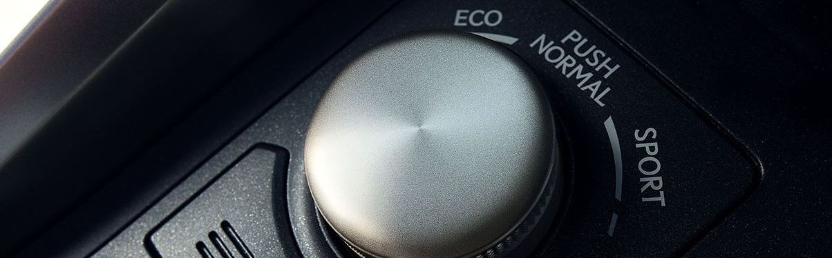 2019 NX 300 Drive Modes