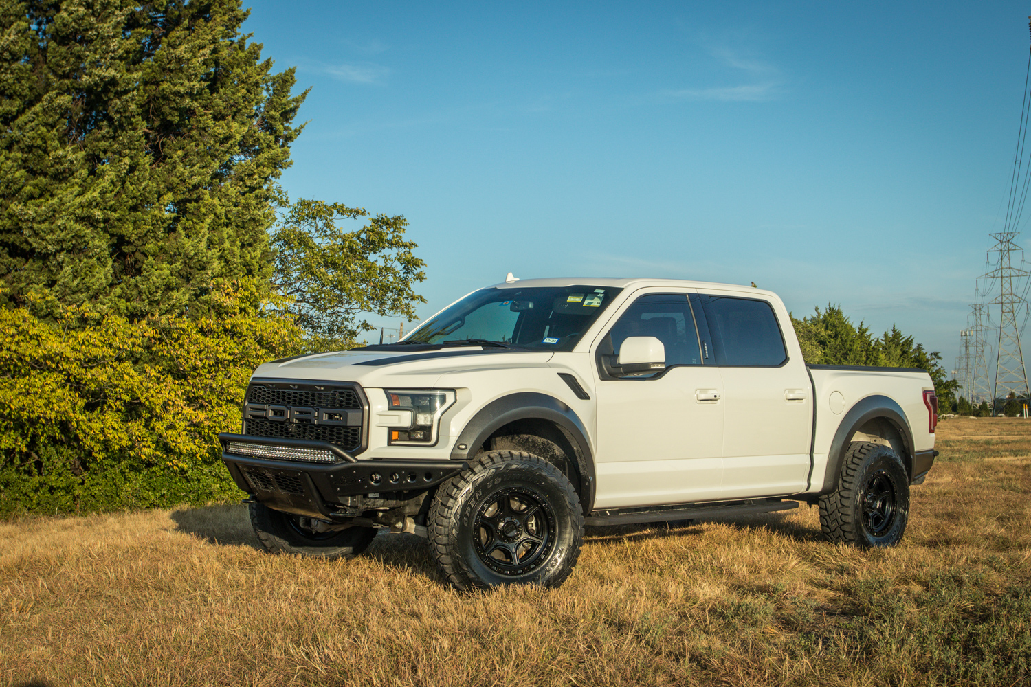 ford raptor lifted white