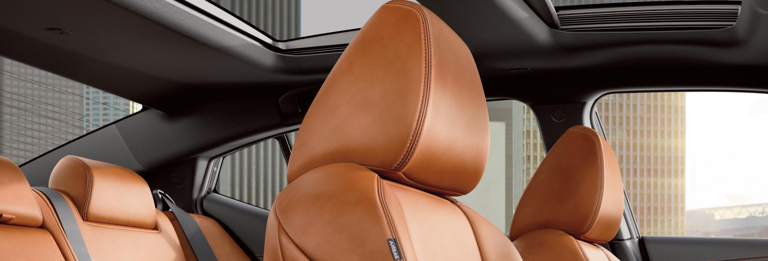 2020 Maxima Interior