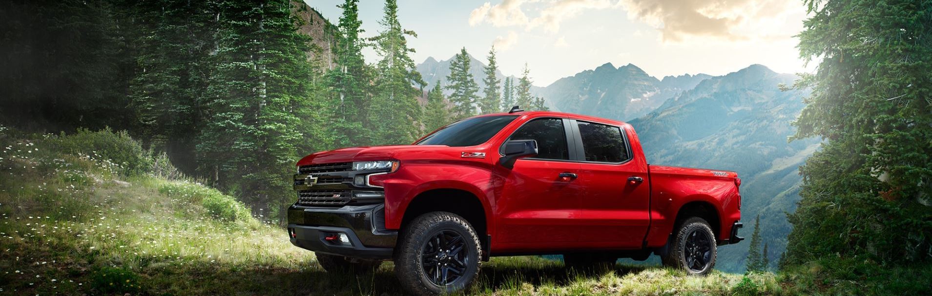 2019 chevrolet silverado 1500 for sale