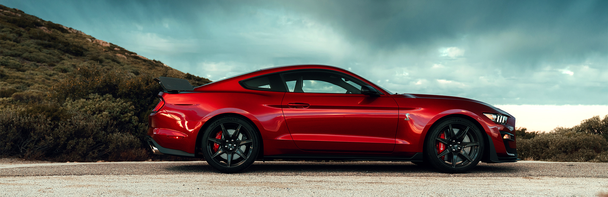 Prize Horses The Ford Mustang Legacy Boulevard Ford Of Lewes