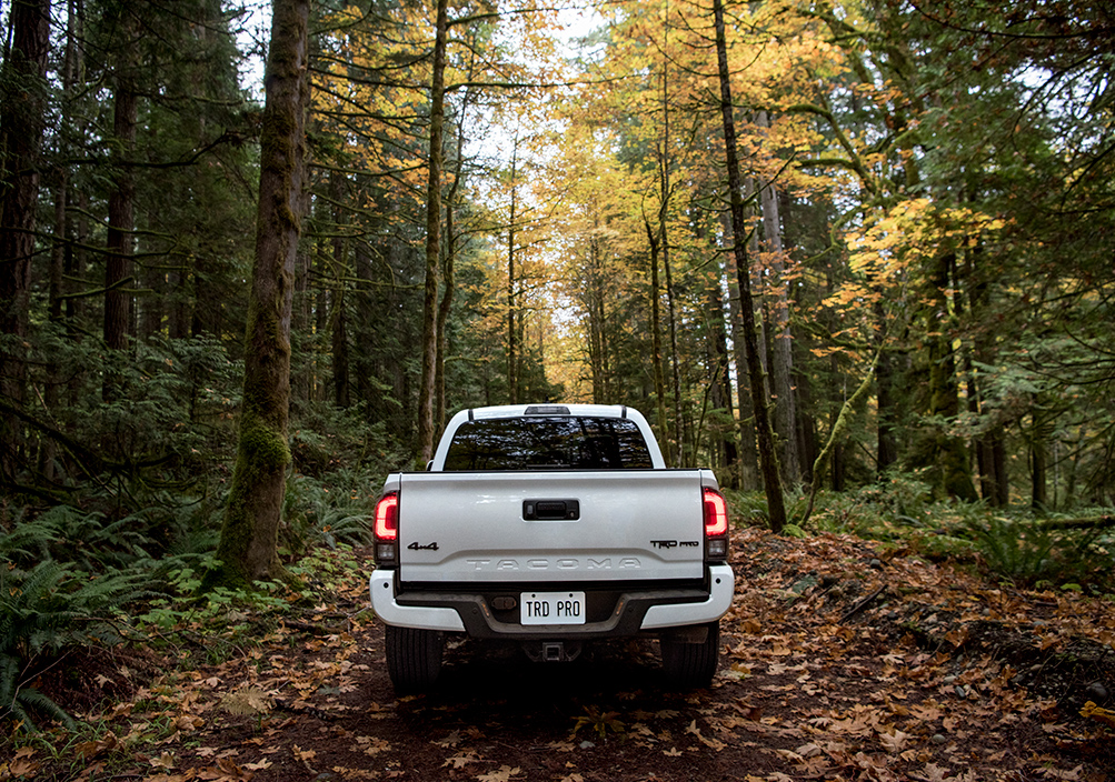 Model Features of the 2020 Toyota Tacoma at Tri County Toyota in Royersford | The rear view of the 2020 Tacoma