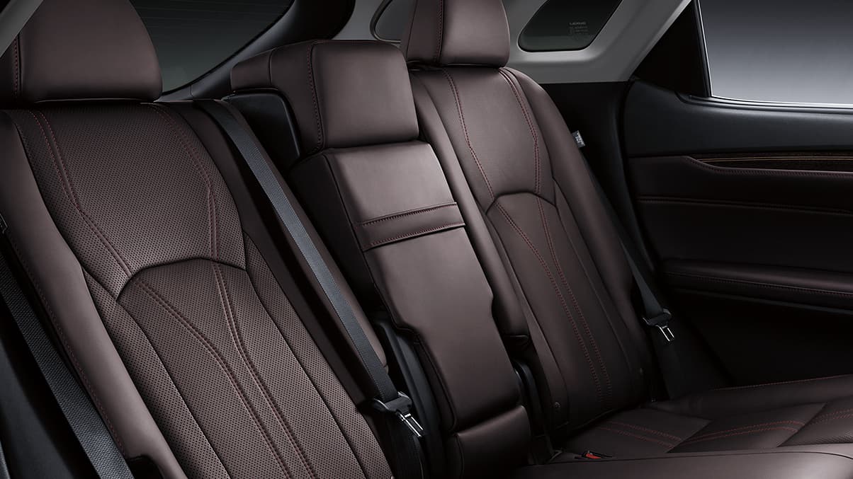 Back Row of the 2020 RX 350