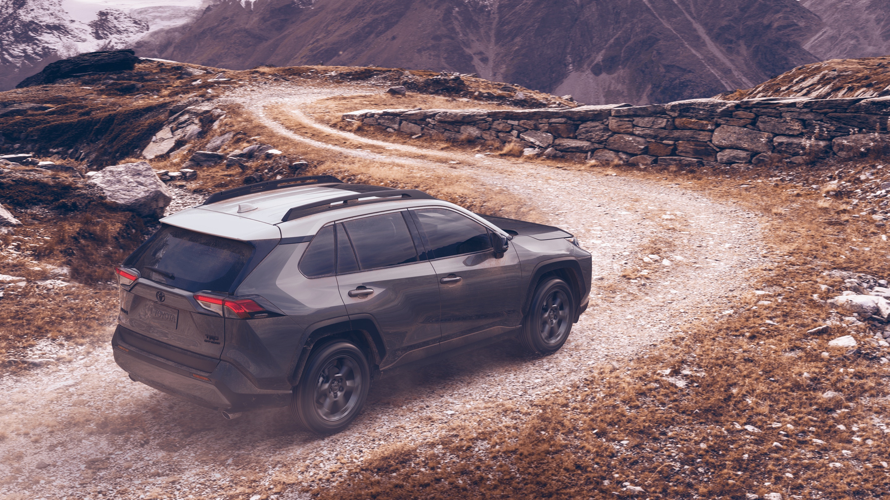 2020 Toyota RAV4 for Sale near Leawood, KS, 66209