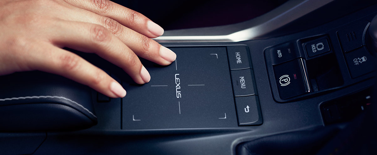 2020 Lexus 300 Remote Touchpad