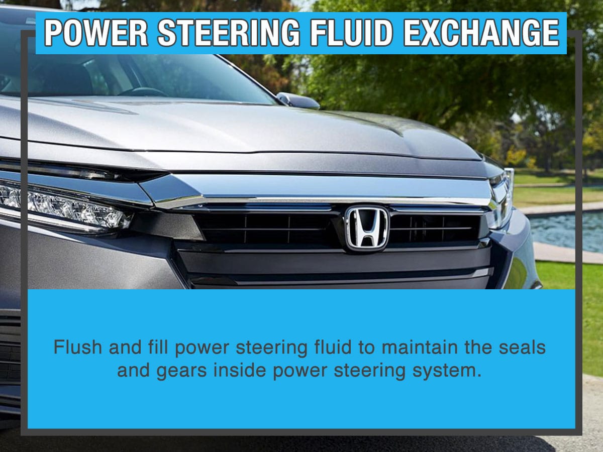 Power Steering Fluid Exchange Power Steering Fluid Exchange