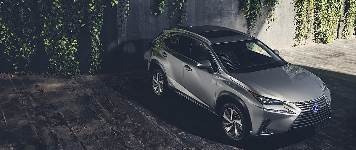 NX Hybrid