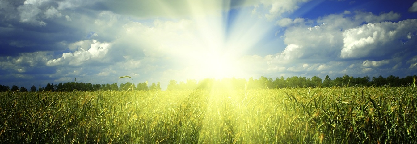 Spring Clean Your Honda in Fredericksburg, VA Spring Clean Your Honda in Fredericksburg, VA