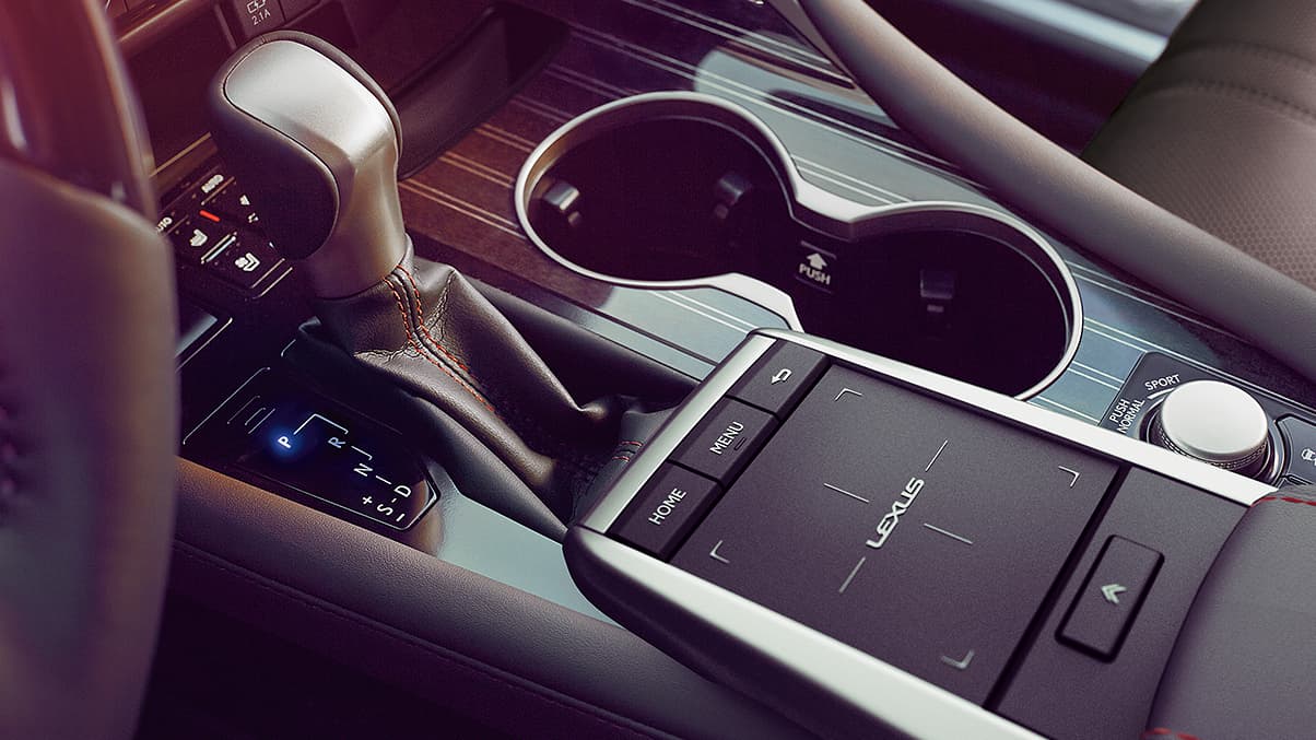 2020 RX 350 Interior
