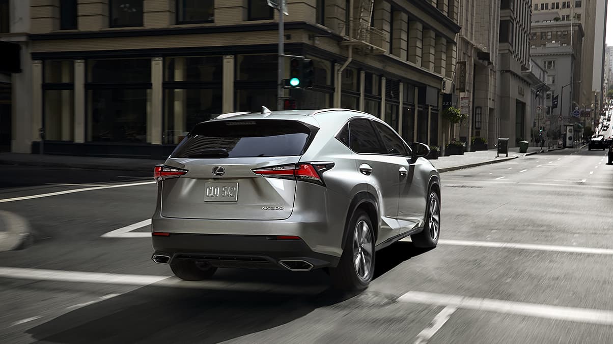 2020 Lexus NX 300 Trim Levels near Washington, DC