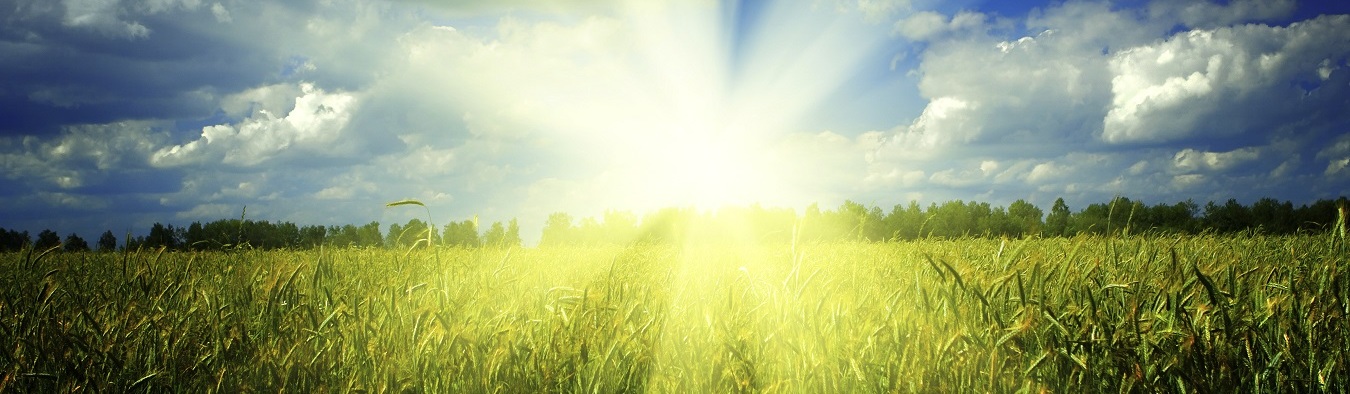 Enjoy Fresh Air Today!