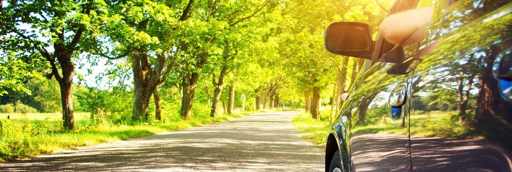 Meet our Service Department Today!