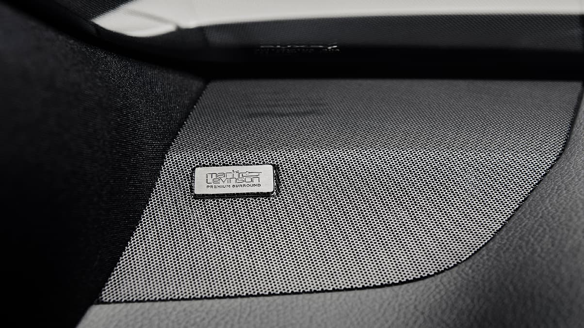2020 NX 300 Mark Levinson® Sound System