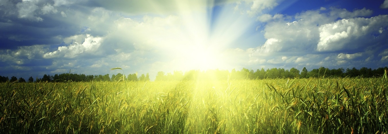 Prepare Your Vehicle for Summer Travel in Chantilly, VA