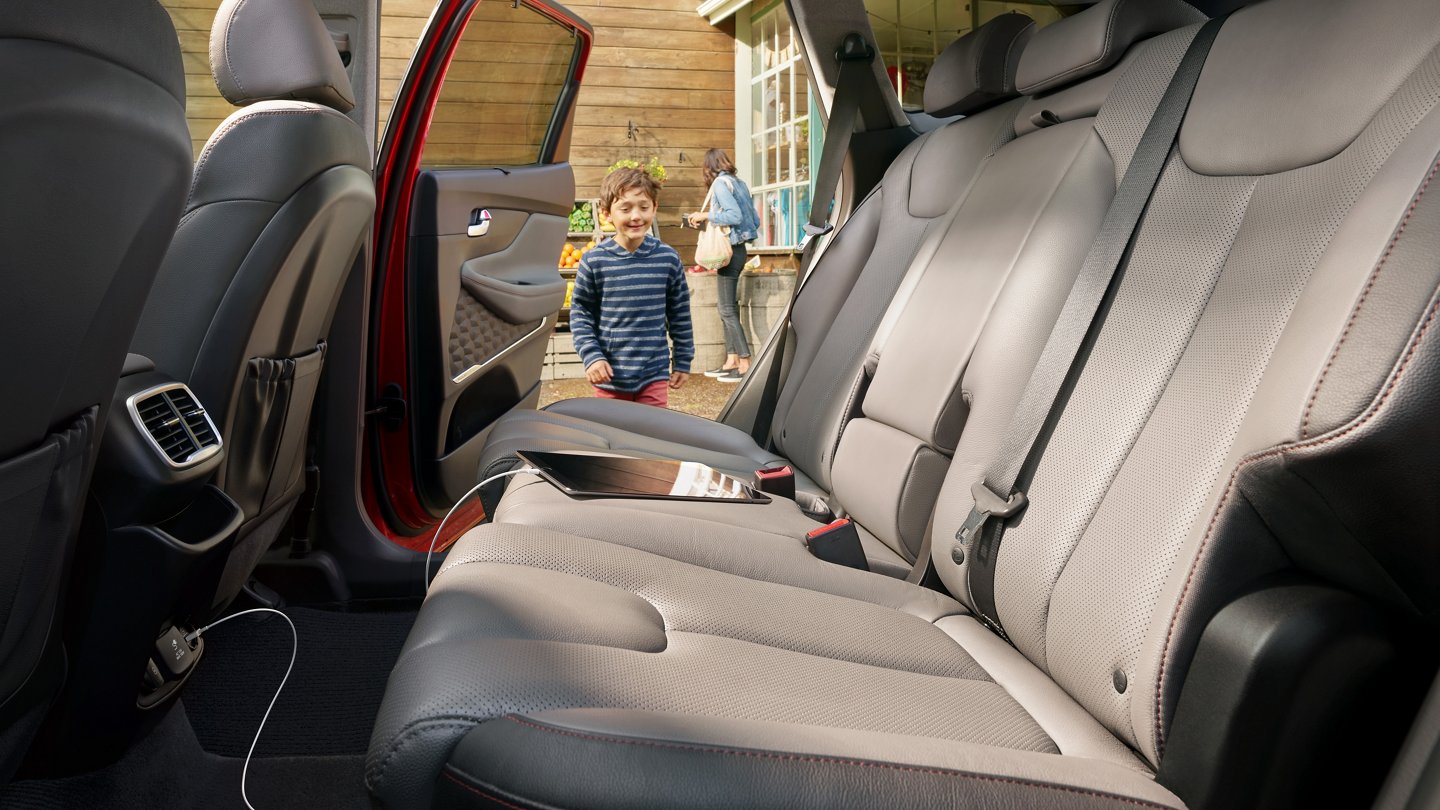 2020 Hyundai Santa Fe Rear Seat