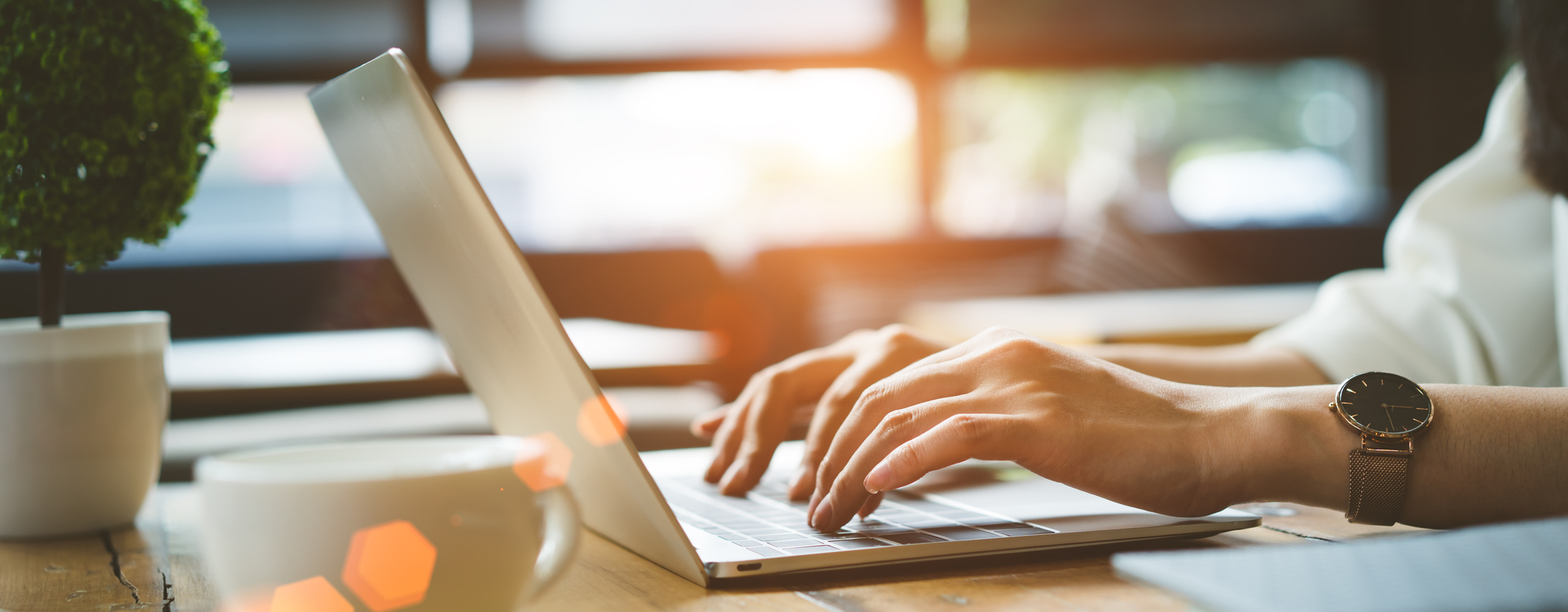 Use Our Online Tools!