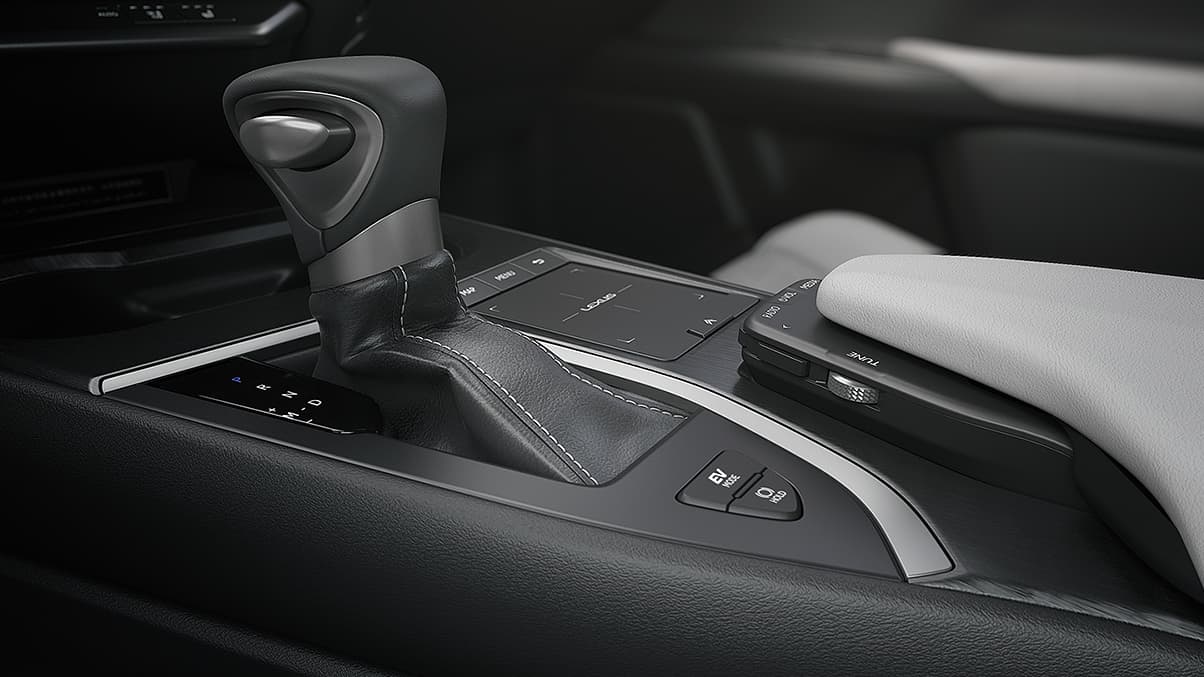 Luxurious Details in the 2020 UX 250h