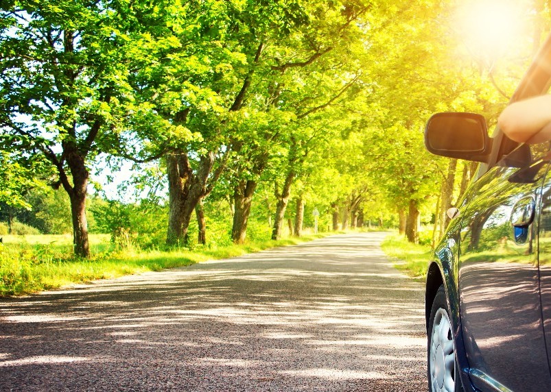 Hit the Open Road Today!