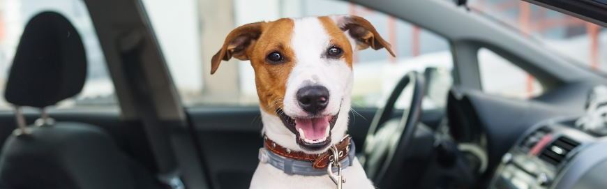 Hit the Road With Peace of Mind Hit the Road With Peace of Mind