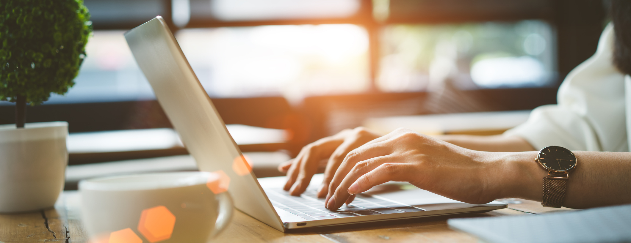 Use Our Online Tools