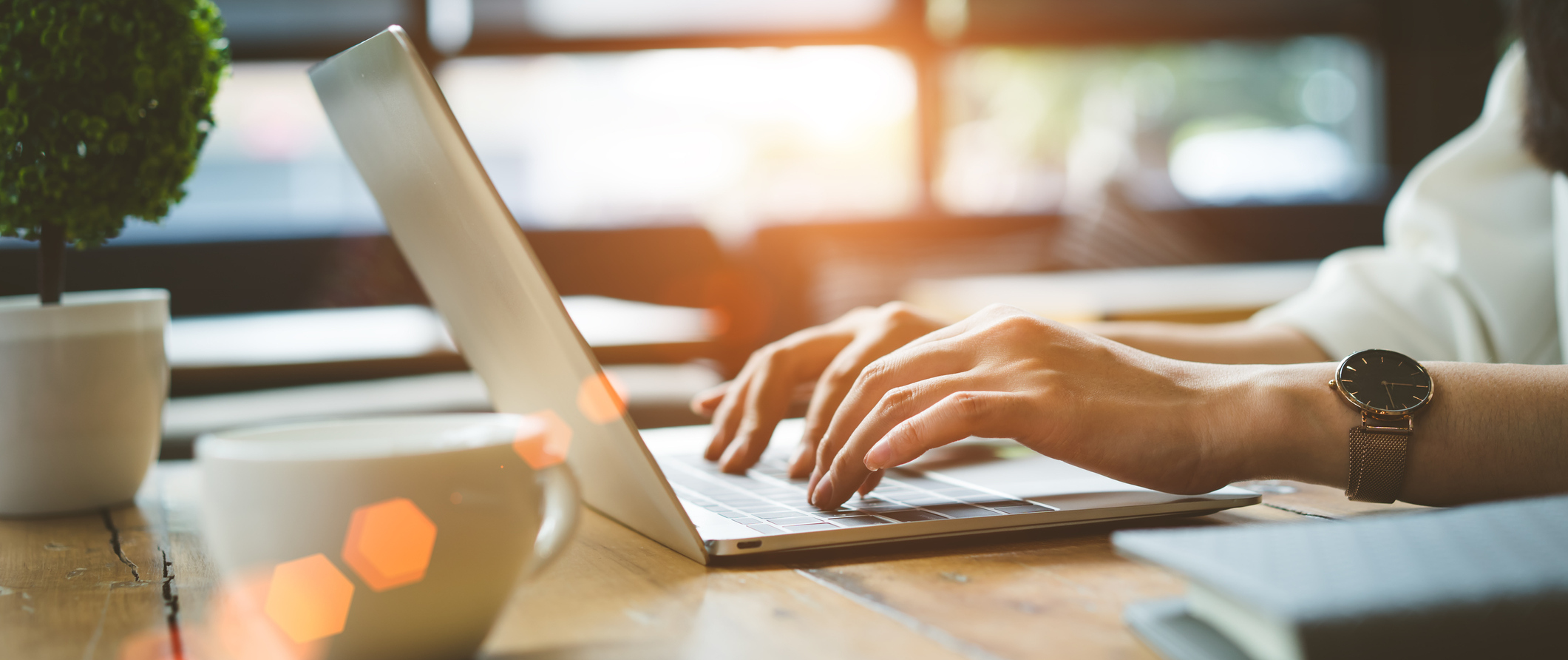 Use Our Online Tools!