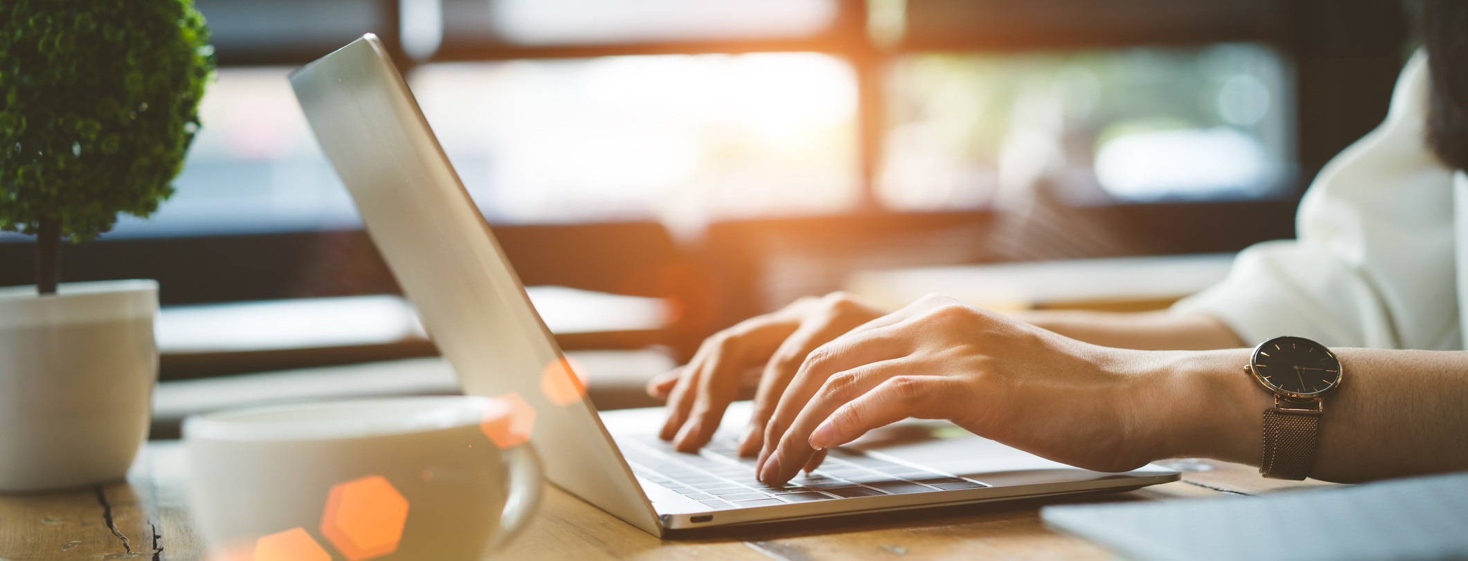 Use Our Online Tools!