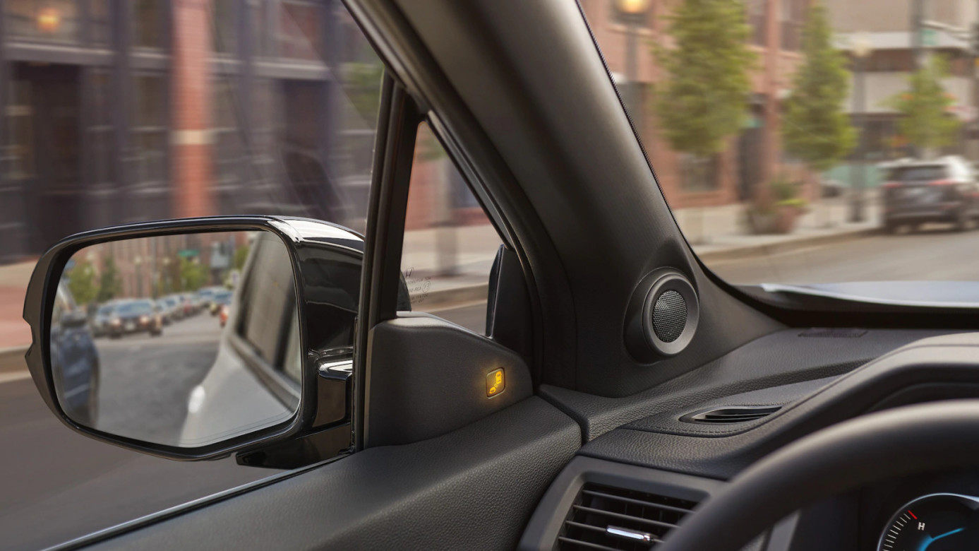 Blind Spot Information System in the 2020 Passport