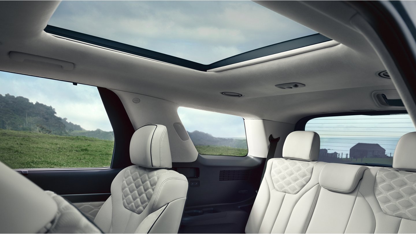 2020 Palisade Interior