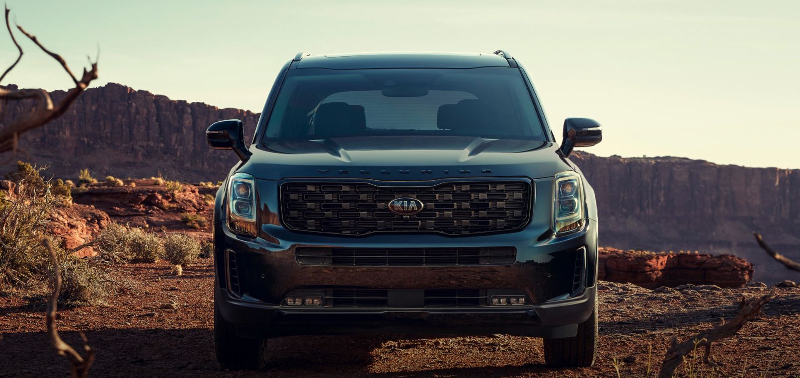 2021 Kia Telluride