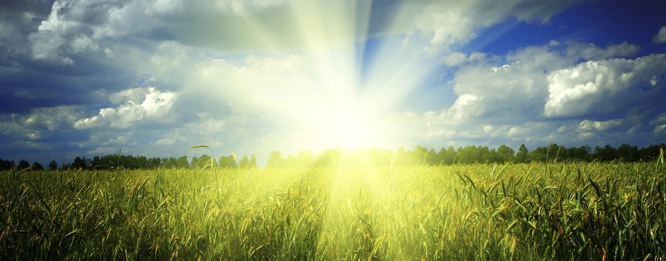 Lease End Options in Fredericksburg, VA