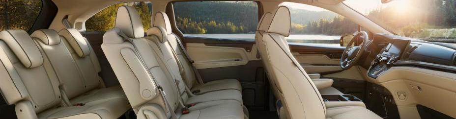 2021 Odyssey Cabin