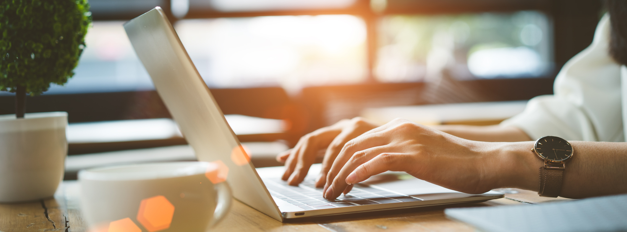 Use Our Online Tools!