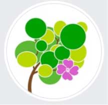 April - Dogwood Festival