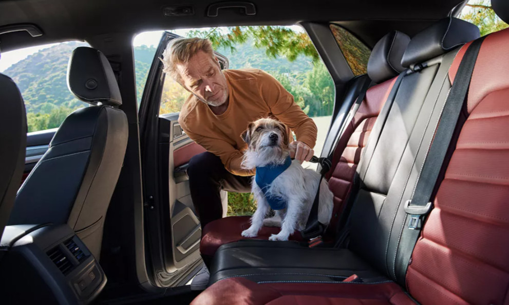 2021 Atlas Cross Sport Interior 2021 Atlas Cross Sport Interior