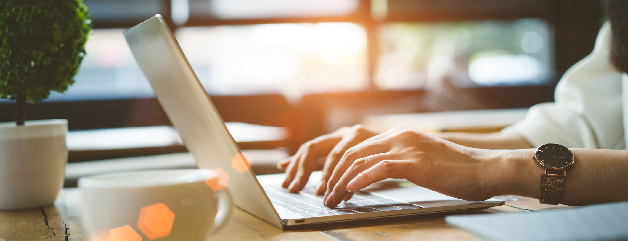 Use Our Online Tools!