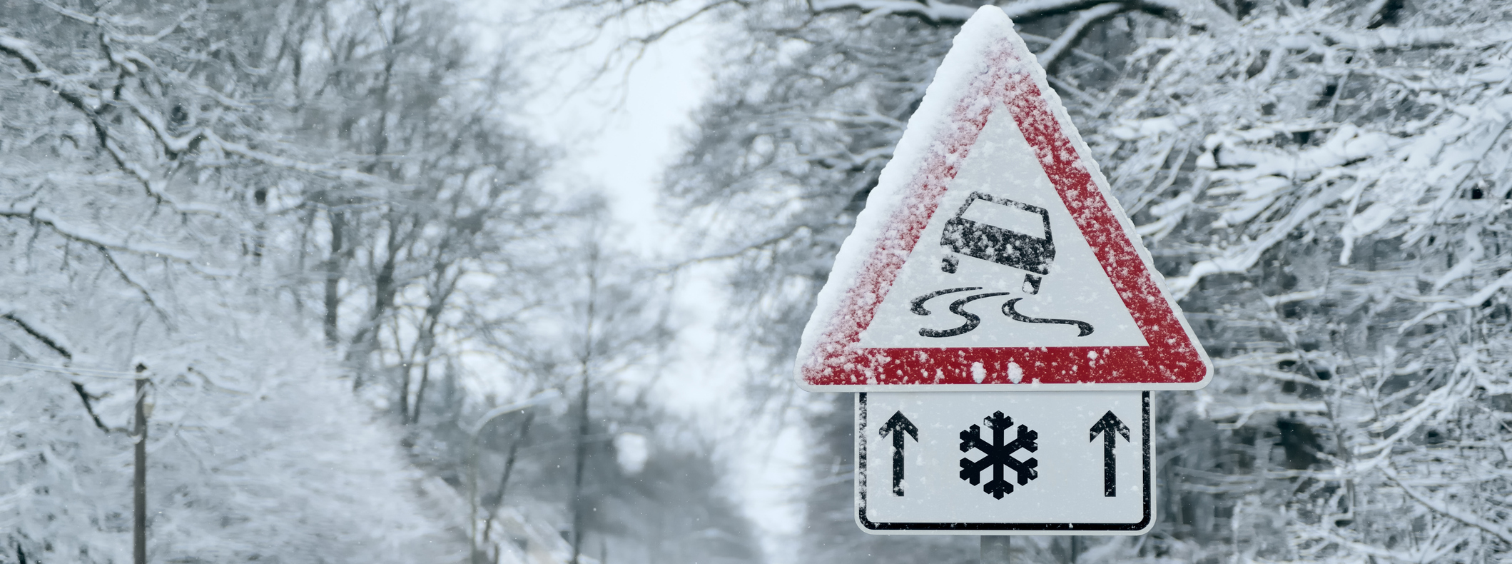 The Importance of Brake Maintenance near Washington, DC 