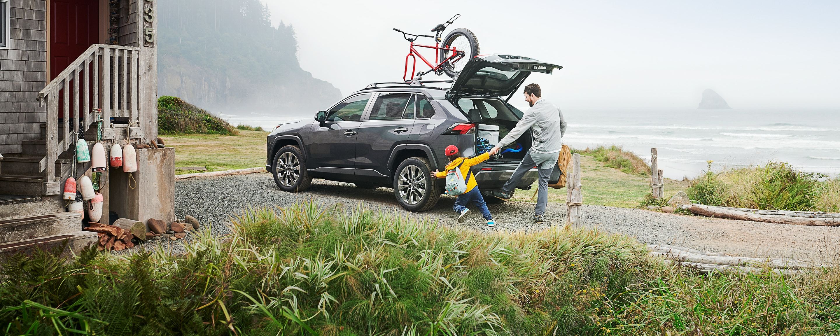 Toyota venza bike rack hot sale