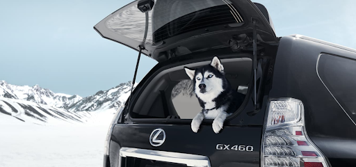 Con un GX 460 ve donde quieras, cuando quieras y con quien quieras. Tú pones las reglas.