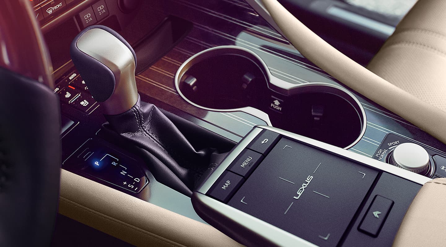 2021 RX 450h Drive Controls