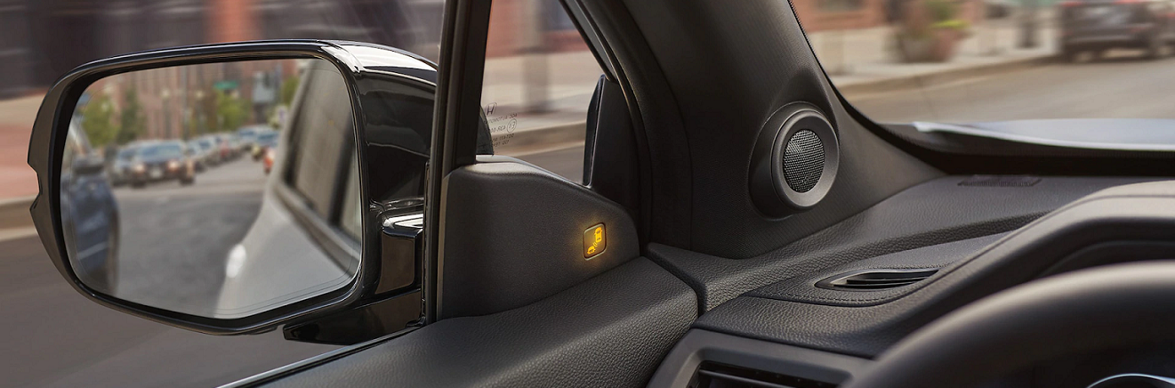 2021 Passport Blind Spot Information System